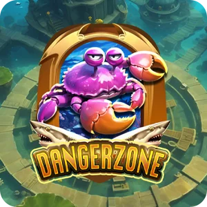 DANGER ZONE