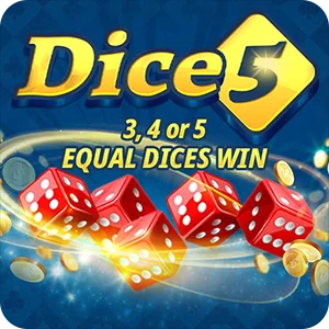 DICE 5