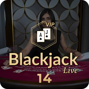 BLACKJACK 14
