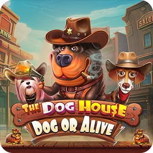 THE DOG HOUSE - DOG OR ALIVE