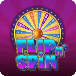 FLIP N' SPIN