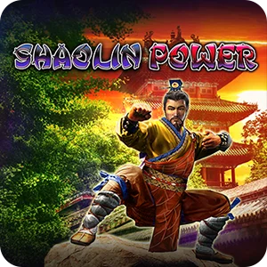 SHAOLIN POWER