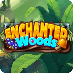 ENCHANTED WOODS