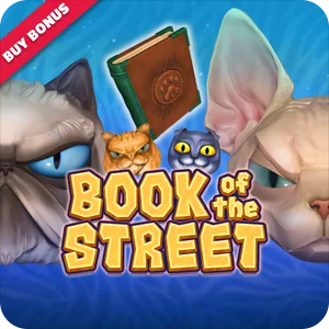 BOOK OF THE STREET