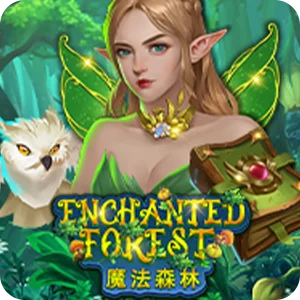 ENCHANTED FOREST