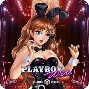 PLAYBOY WILDS
