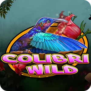 COLIBRI WILD