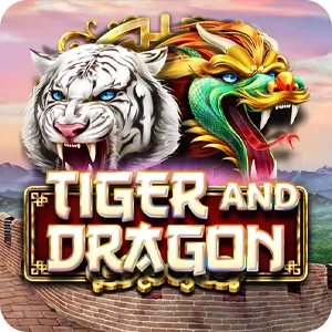 TIGER AND DRAGON