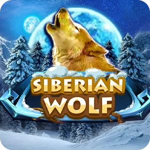 SIBERIAN WOLF