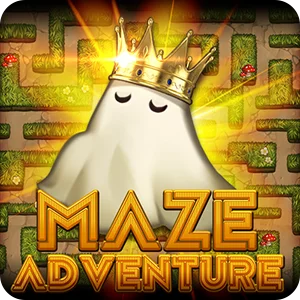 MAZE ADVENTURE
