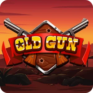 OLD GUN