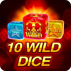 10 WILD DICE