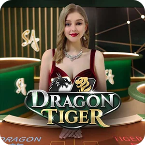 D DRAGON TIGER