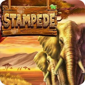 STAMPEDE