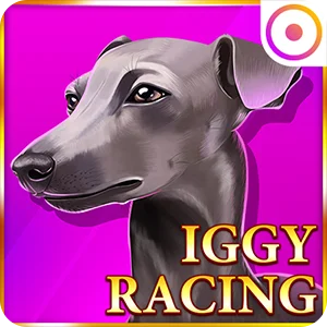 IGGY RACING